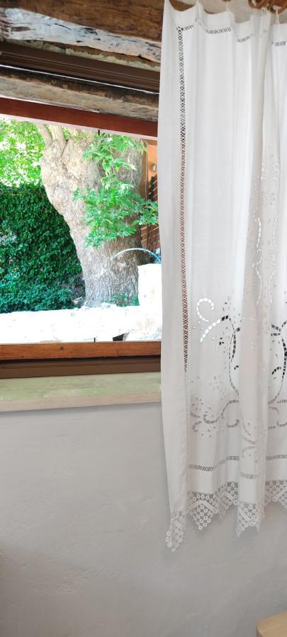 Feneri 3 -Cozy Rustic Apt 20' From Elafonisi Beach Περιβόλια Εξωτερικό φωτογραφία