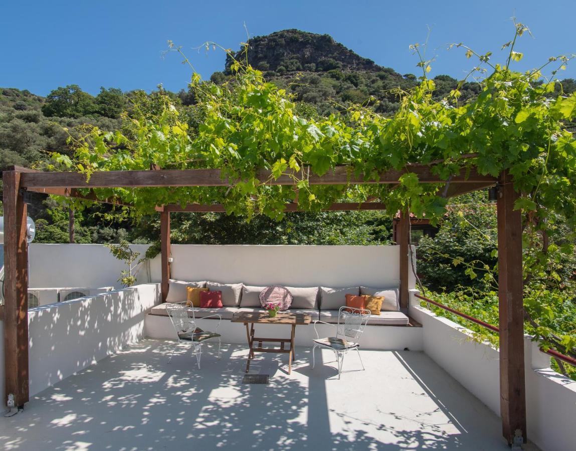 Feneri 3 -Cozy Rustic Apt 20' From Elafonisi Beach Περιβόλια Εξωτερικό φωτογραφία